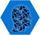 ITinnovations Libraries